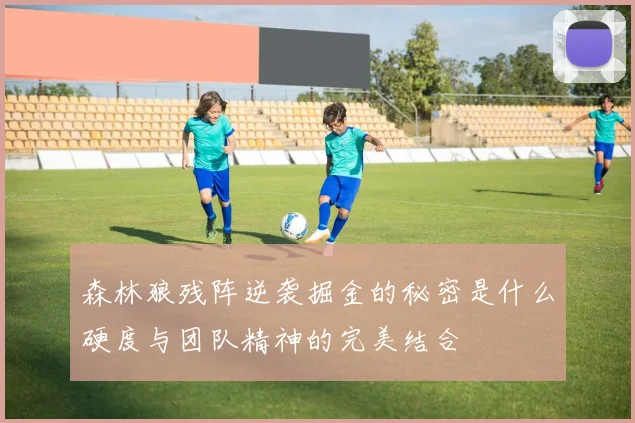 森林狼残阵逆袭掘金的秘密是什么硬度与团队精神的完美结合